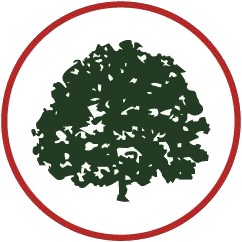 Arztpraxis Lindenhof Altenberge